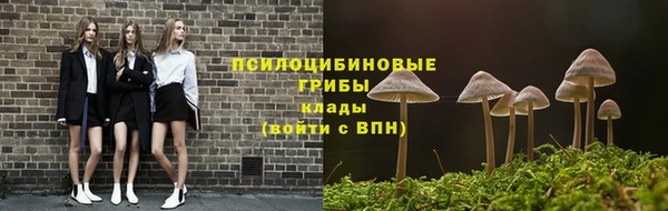 a pvp Кодинск