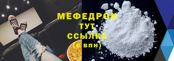 индика Коряжма