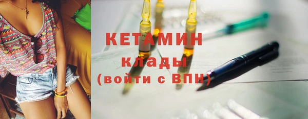 индика Коряжма