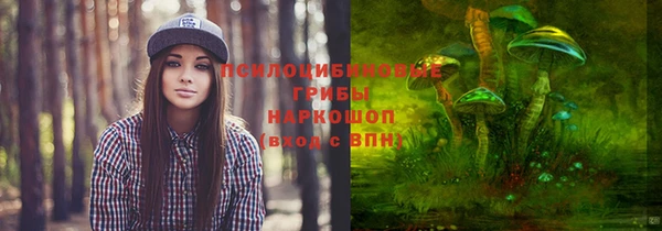 индика Коряжма