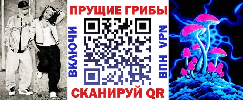Купить где  Кувшиново  Галлюциногенные грибы Psilocybine cubensis 
